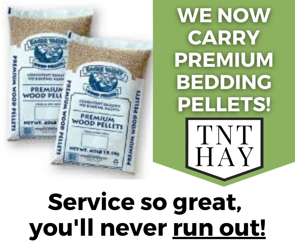 Premium Bedding Pellets (40lbs)